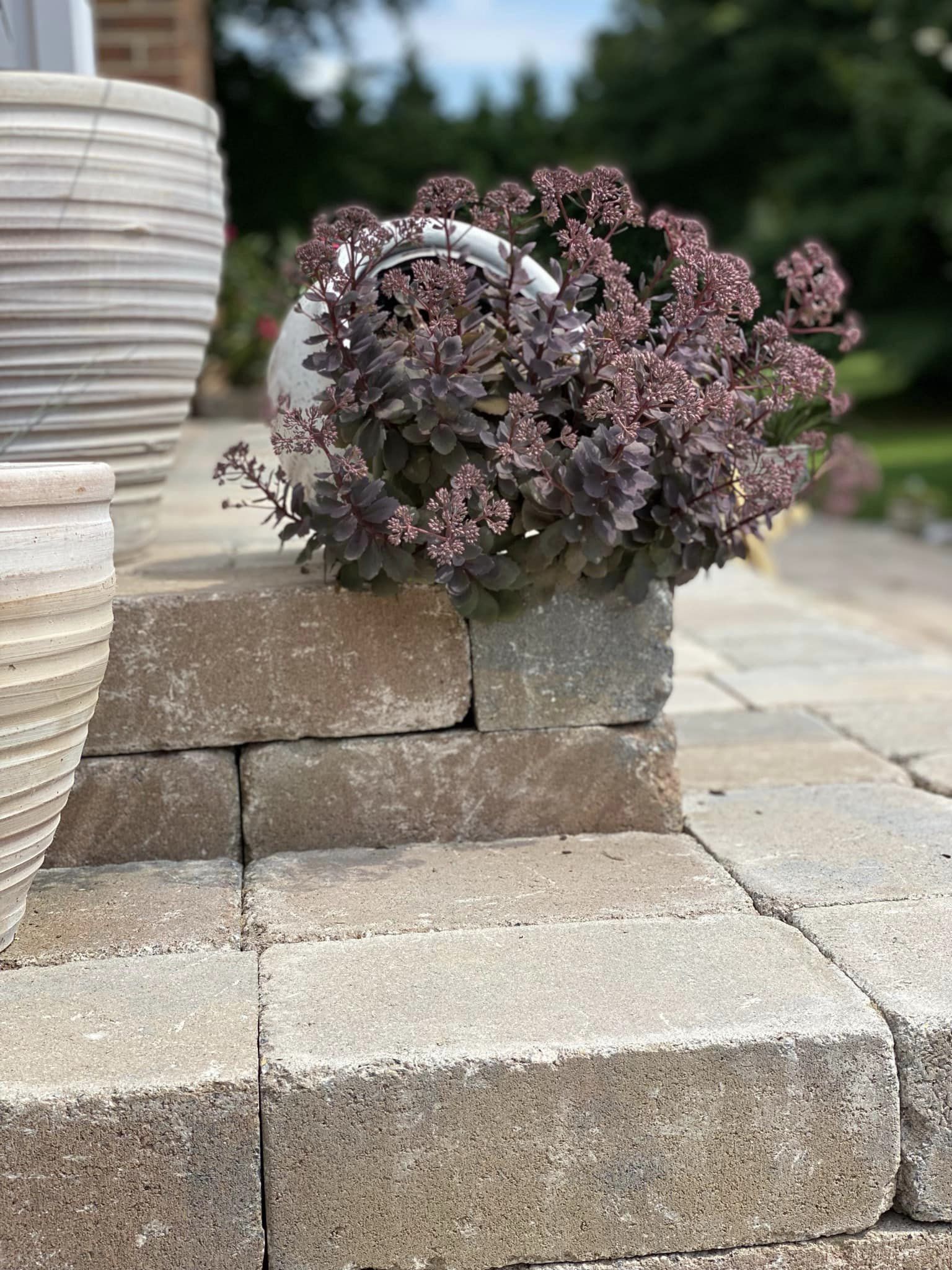 A cluster of purple flowers in a tipped pot, next to stone steps and large planters, with green foliage in the background.