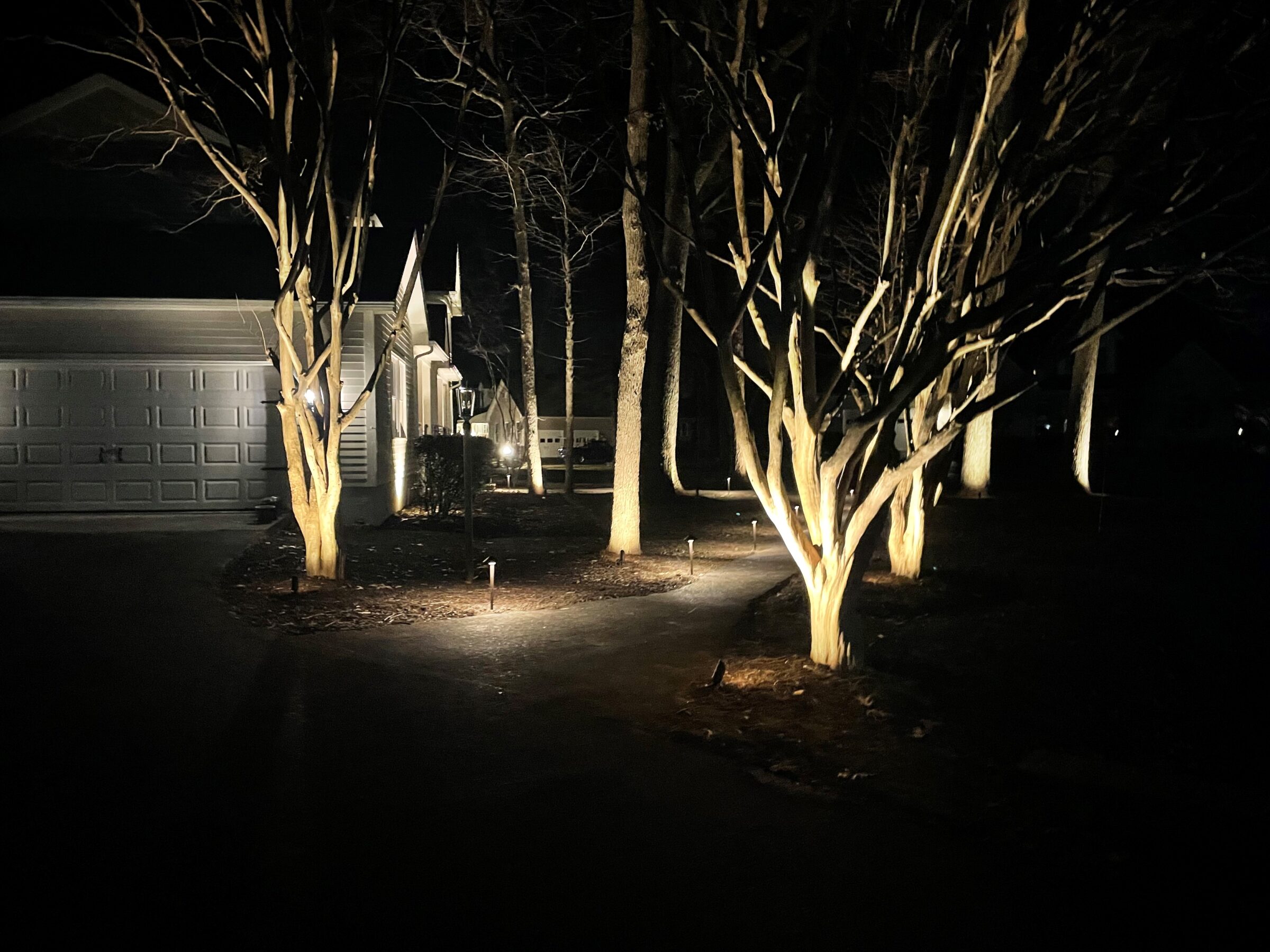 A driveway with illuminated trees and a garage at night, creating a serene and inviting atmosphere under the moonlight.