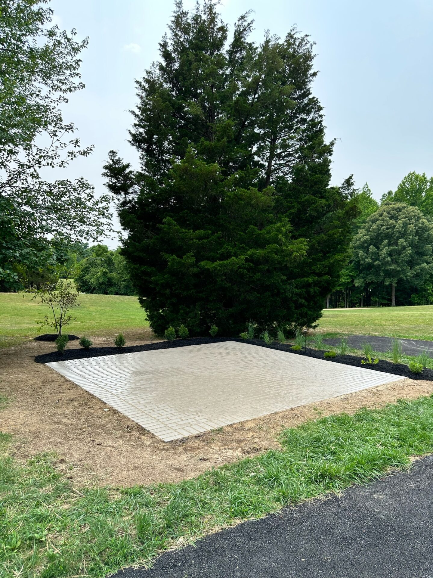 A small paved area surrounded by grass and trees, featuring newly planted shrubs, with no visible people or landmarks.