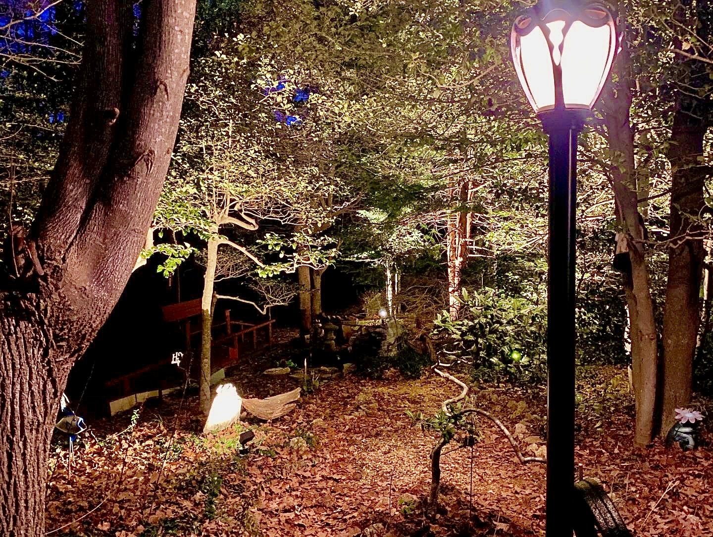 A serene night scene with a glowing streetlamp, illuminated trees, a small bridge, and fallen leaves covering the forest floor.