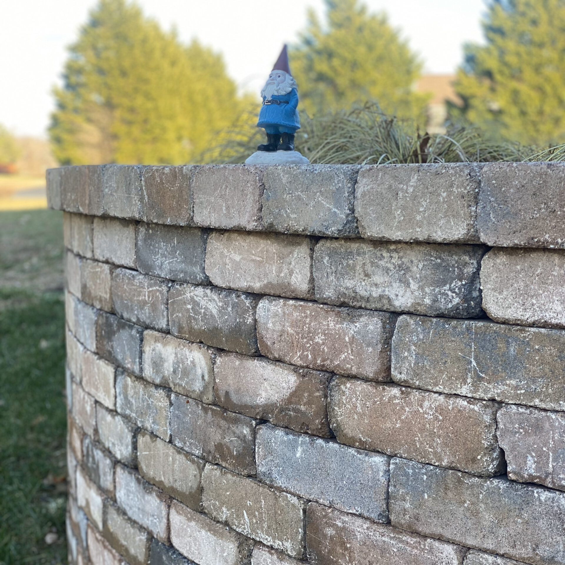A small gnome statue in blue stands atop a stone brick wall, surrounded by lush greenery on a sunny day.