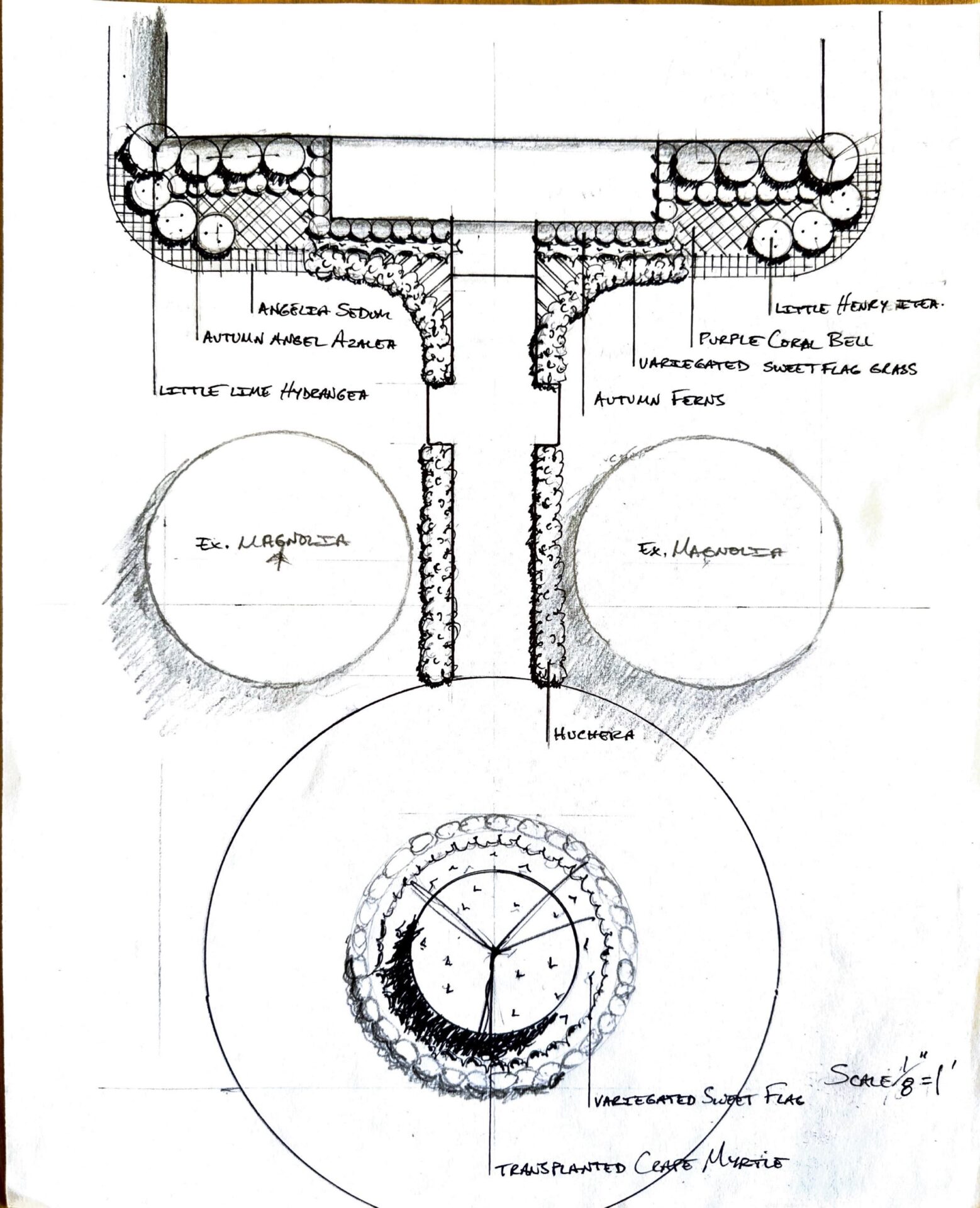 Landscape plan features circular and linear plant arrangements, including hydrangeas, azaleas, and magnolias. It highlights pathways and variety placements.
